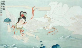 精卫指的是什么？ 精卫是谁