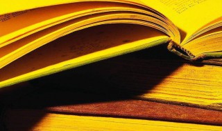 治愈而励志的句子 治愈而励志的句子有什么