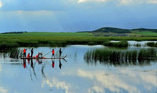 湿地又被称为什么？ 湿地还有其他的称呼吗