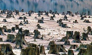 环境问题有哪些 有关环境问题介绍