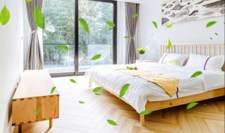 去甲醇的最有效的方法 3种去除甲醛最实用有效的方法