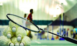 哪种球类运动的最高时速是最快的 羽毛球运动的最高时速是最快的