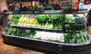 蔬菜的保鲜技巧 有什么具体的办法