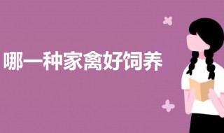 哪一种家禽好饲养 可以饲养这两个种类的
