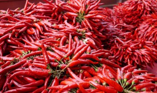 做辣椒末方法 做辣椒末方法介绍