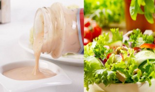 沙拉酱是用什么做的 沙拉酱简述