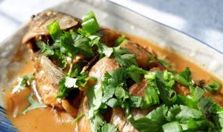 炖鲫鱼方法 家常炖鲫鱼的做法