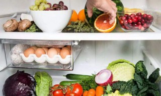 不适合放冰箱的食物 分别有哪些食物不适合放冰箱