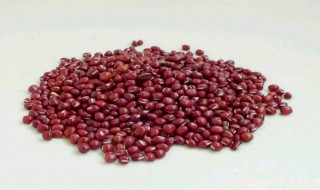 日式红豆做法 日式红豆做法是什么