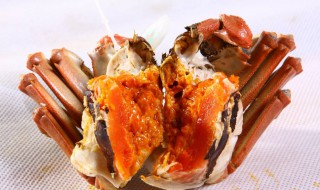 鲜美蟹做法 鲜美蟹怎么做好吃