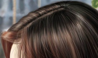 干发最快的方法 快速干发的技巧