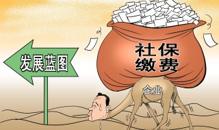 社保补缴怎么处理 需要怎么缴纳