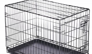 洗猫笼制作方法 清洗的具体步骤有哪些