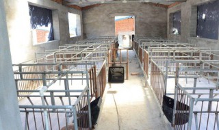 洗猪栏正确方法 具体怎么清洗