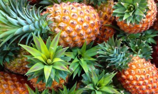 菠萝的去皮技巧 常见的菠萝的去皮方法