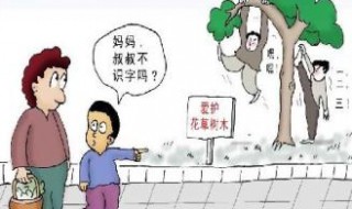 漫画老师作文五年级 漫画老师作文五年级全文