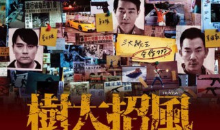 树大招风真实的故事 树大招风真实的故事是什么