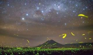 萤火虫进家迷信说法 萤火虫为什么会进家里