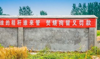 秸秆禁烧宣传标语 秸秆禁烧宣传标语有那些