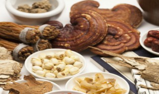 灵芝如何泡酒 灵芝泡酒怎么泡