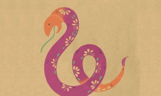 蛇和蛇相配婚姻如何 蛇和蛇相配婚姻一起幸福吗