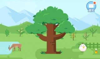 种成一颗梭梭树需要在蚂蚁森林中积累多少能量？ 蚂蚁森林介绍