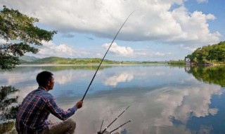 寒露怎么钓鱼 寒露钓鱼的技巧