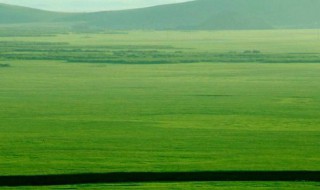 离离原上草的离离是什么意思 离离原上草的离离意思详解