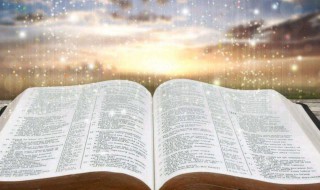 碧玉妆成一树高的妆成是什么意思 碧玉妆成一树高的妆成解释