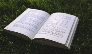 风吹草低见牛羊中的见是什么意思 风吹草低见牛羊中的见解释