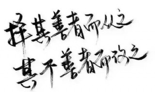 择其善者而从之的从是什么意思 全句及译文