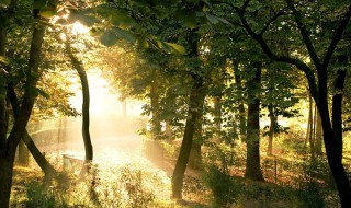 遁入空门是什么意思啊 遁入空门意思详解