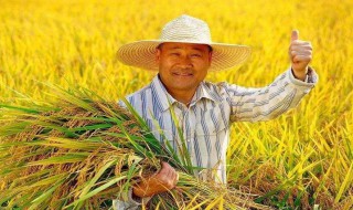 庆丰收迎小康宣传语 庆丰收迎小康宣传语有什么