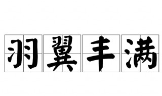 羽翼丰满的意思是 羽翼丰满成语解释及出处