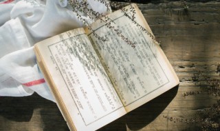 关于传承的诗句 表达传承的诗句有什么