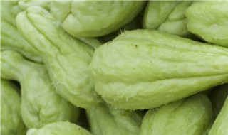 北瓜尖的做法大全家常 北瓜尖家常做法大全