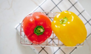 炒菜椒的做法家常 怎么做炒菜椒