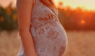 松取名寓意 松取名有什么寓意