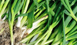 如何清洗蒜泥 怎样清洗蒜泥