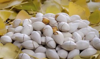 白果如何清洗 白果要怎样清洗