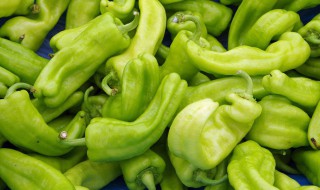 辣椒肉馅的做法 辣椒肉馅怎么做