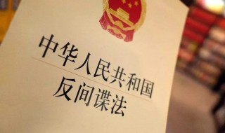 间谍罪最高可处什么刑 间谍罪判罪有何依据