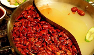 什么东西最能解辣 能解辣的东西介绍