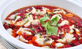 正宗的水煮肉片 水煮肉片怎么做