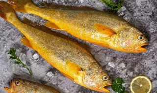 黄花鱼不能和什么一起吃 黄花鱼不能和哪些一起吃