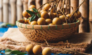 家常龙眼酒的酿制方法 龙眼酒的做法