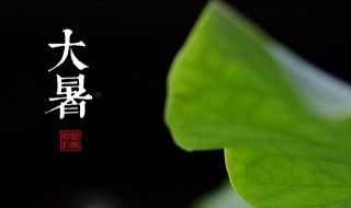 大暑消暑活动怎么做 大暑应该做哪些消暑活动呢