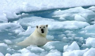 造成温室效应的气体 造成温室效应的气体是什么