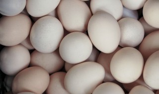 怎样识别人造鸡蛋 识别人造鸡蛋的技巧