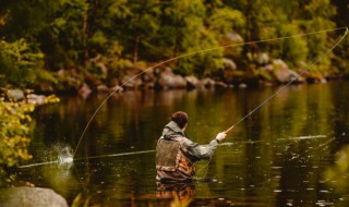 愿者上钩的意思 愿者上钩的解释